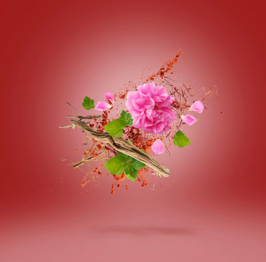 Wardasina - woda perfumowana