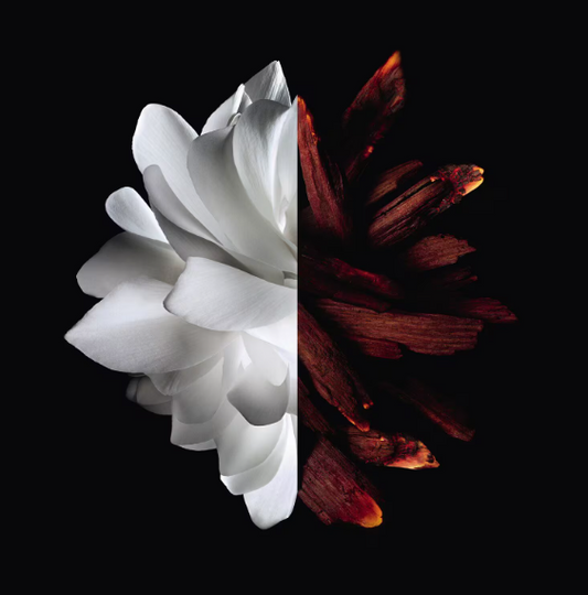 L'Interdit Rouge - woda perfumowana