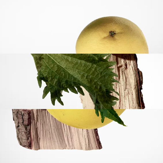 Terre d'Hermès - woda perfumowana